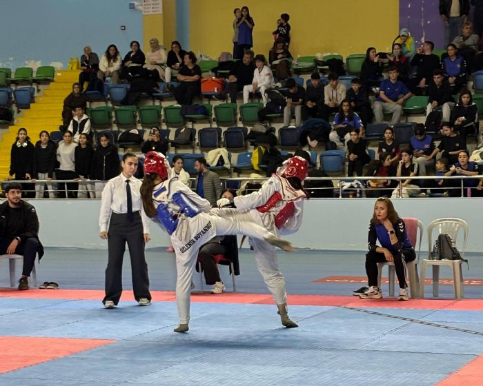 Taekwondoda k�rs� g�n�